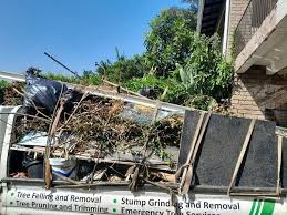Best Attic Cleanout  in Conway Springs, KS